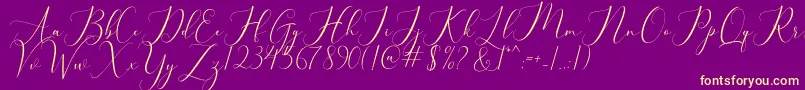 bellisa-Schriftart – Gelbe Schriften auf violettem Hintergrund