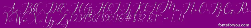 bellisa Font – Green Fonts on Purple Background