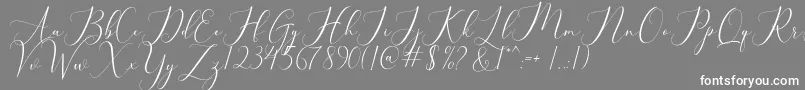 bellisa Font – White Fonts on Gray Background