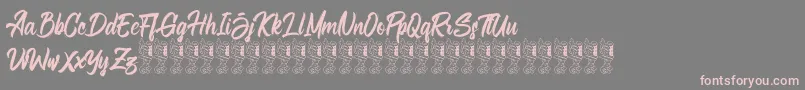 Bellsmore Brush Font – Pink Fonts on Gray Background