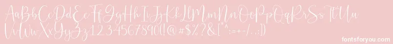 Belly Betty Font – White Fonts on Pink Background