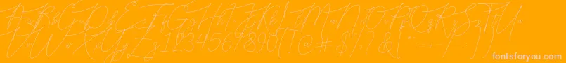 Bellya Vaky-Schriftart – Rosa Schriften auf orangefarbenem Hintergrund