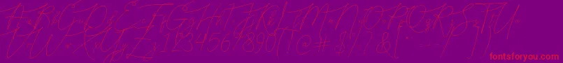 Bellya Vaky-Schriftart – Rote Schriften auf violettem Hintergrund