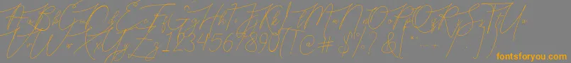 Bellya Vaky-fontti – oranssit fontit harmaalla taustalla