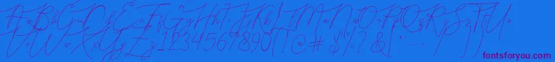 Bellya Vaky-Schriftart – Violette Schriften auf blauem Hintergrund