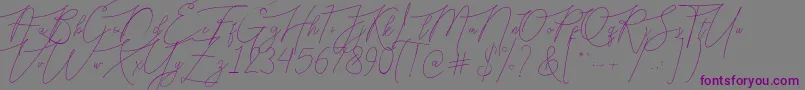 Bellya Vaky-fontti – violetit fontit harmaalla taustalla