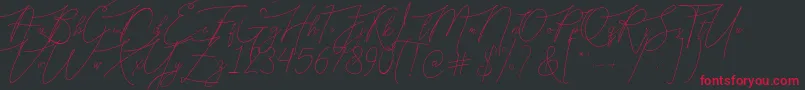 Шрифт Bellya Vaky – красные шрифты на чёрном фоне