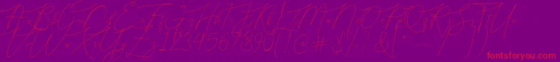 Bellya Vaky Font – Red Fonts on Purple Background