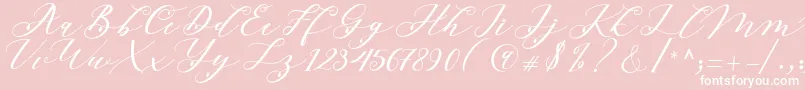 Beloved Script Font – White Fonts on Pink Background