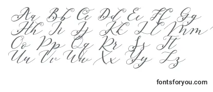 Обзор шрифта Beloved Script