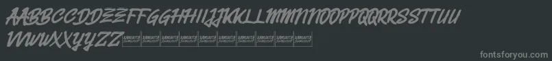 Belvanademo Font – Gray Fonts on Black Background