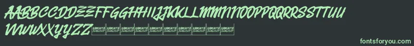 Belvanademo Font – Green Fonts on Black Background