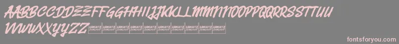 Belvanademo Font – Pink Fonts on Gray Background