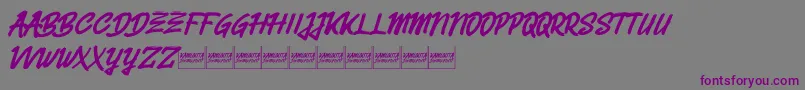 Belvanademo-fontti – violetit fontit harmaalla taustalla