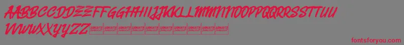 Belvanademo Font – Red Fonts on Gray Background