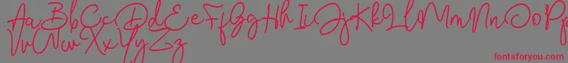 Bendina Sambat DAFONT Font – Red Fonts on Gray Background
