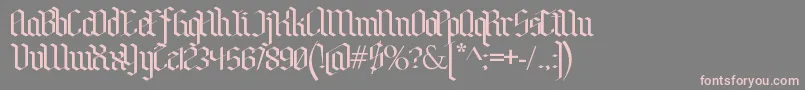フォントBenschGothic – 灰色の背景にピンクのフォント