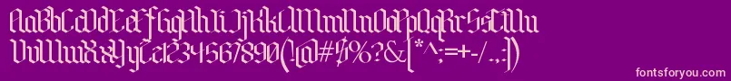 BenschGothic Font – Pink Fonts on Purple Background