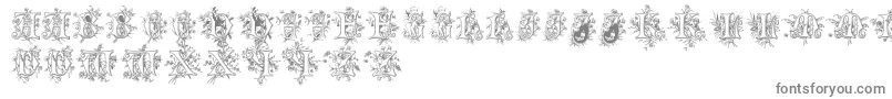 Cherubimcaps Font – Gray Fonts on White Background