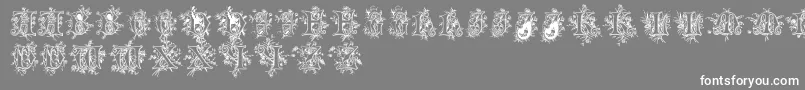 Cherubimcaps Font – White Fonts on Gray Background