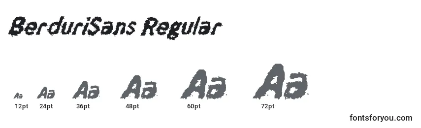 Размеры шрифта BerduriSans Regular