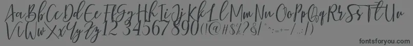 Berhilda Font – Black Fonts on Gray Background