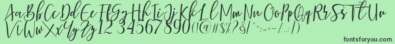 Berhilda Font – Black Fonts on Green Background