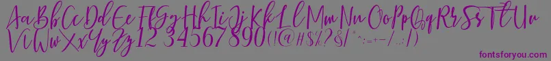 Berhilda-fontti – violetit fontit harmaalla taustalla
