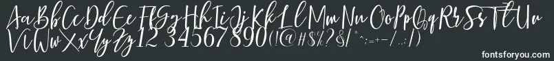 Berhilda Font – White Fonts on Black Background