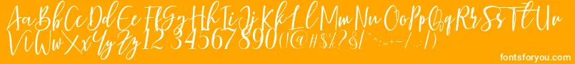 More about Berhilda Font Berhilda Font – White Fonts on Orange Background