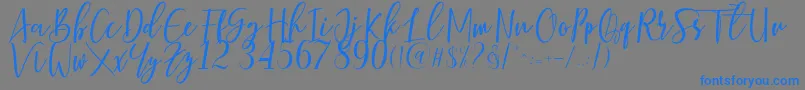 Berhilda Font – Blue Fonts on Gray Background
