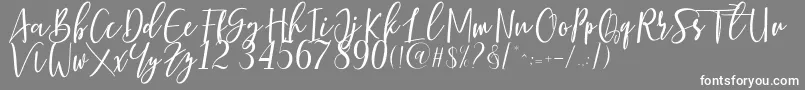 Berhilda Font – White Fonts on Gray Background