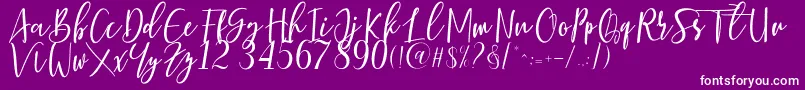 Berhilda Font – White Fonts on Purple Background