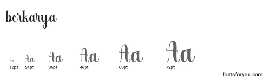 Berkarya Font Sizes