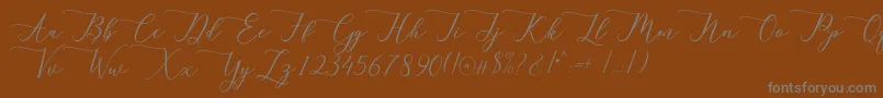 berlian Font – Gray Fonts on Brown Background