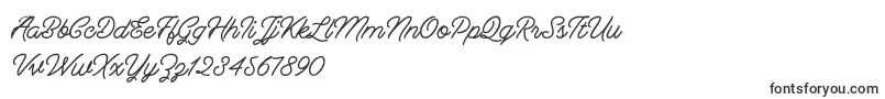 Berliana Monoline   Free-Schriftart – Schriften für Corel Draw