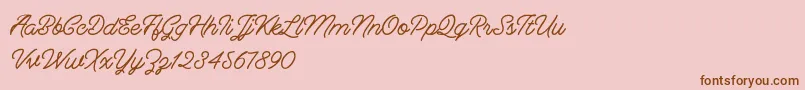 Berliana Monoline   Free Font – Brown Fonts on Pink Background