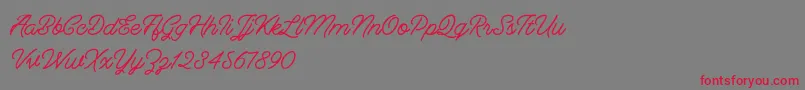 Berliana Monoline   Free Font – Red Fonts on Gray Background