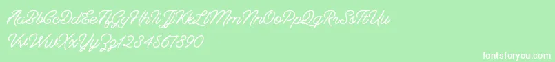 Berliana Monoline   Free Font – White Fonts on Green Background