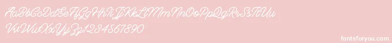 Berliana Monoline   Free-Schriftart – Weiße Schriften auf rosa Hintergrund