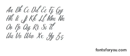 フォントBerlin Script
