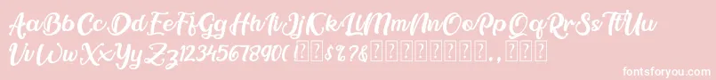 Berlineta DEMO Font – White Fonts on Pink Background