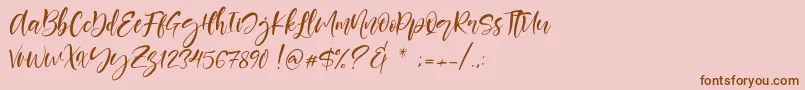 Berlins Font – Brown Fonts on Pink Background