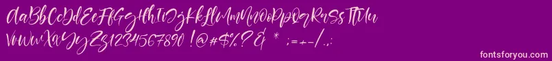 Berlins Font – Pink Fonts on Purple Background