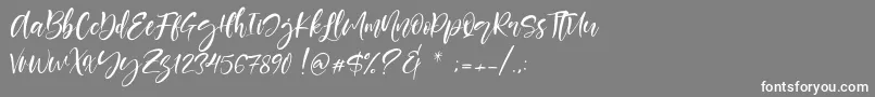 フォントBerlins – 灰色の背景に白い文字