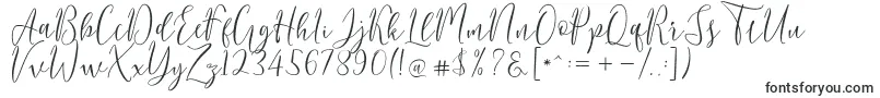 Berlinsa Script Font – Handwritten Fonts
