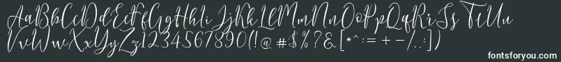 フォントBerlinsa Script – 白い文字