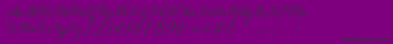 Bernadine Script Italic Font – Black Fonts on Purple Background