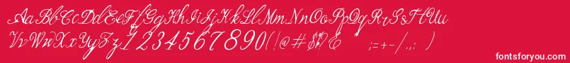 Fonte Bernadine Script Italic – fontes brancas em um fundo vermelho