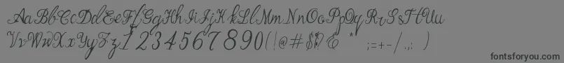 Bernadine Script Font – Black Fonts on Gray Background